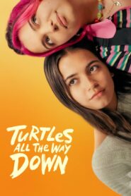 Żółwie aż do końca 2024 | Turtles All the Way Down 2024
